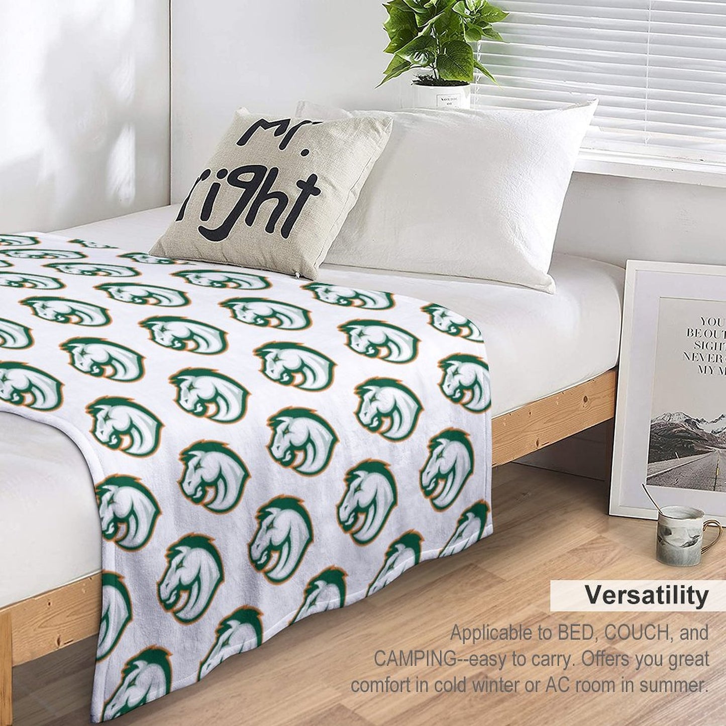 Frederick Douglass High School Flannel/Fleece Baby Blanket