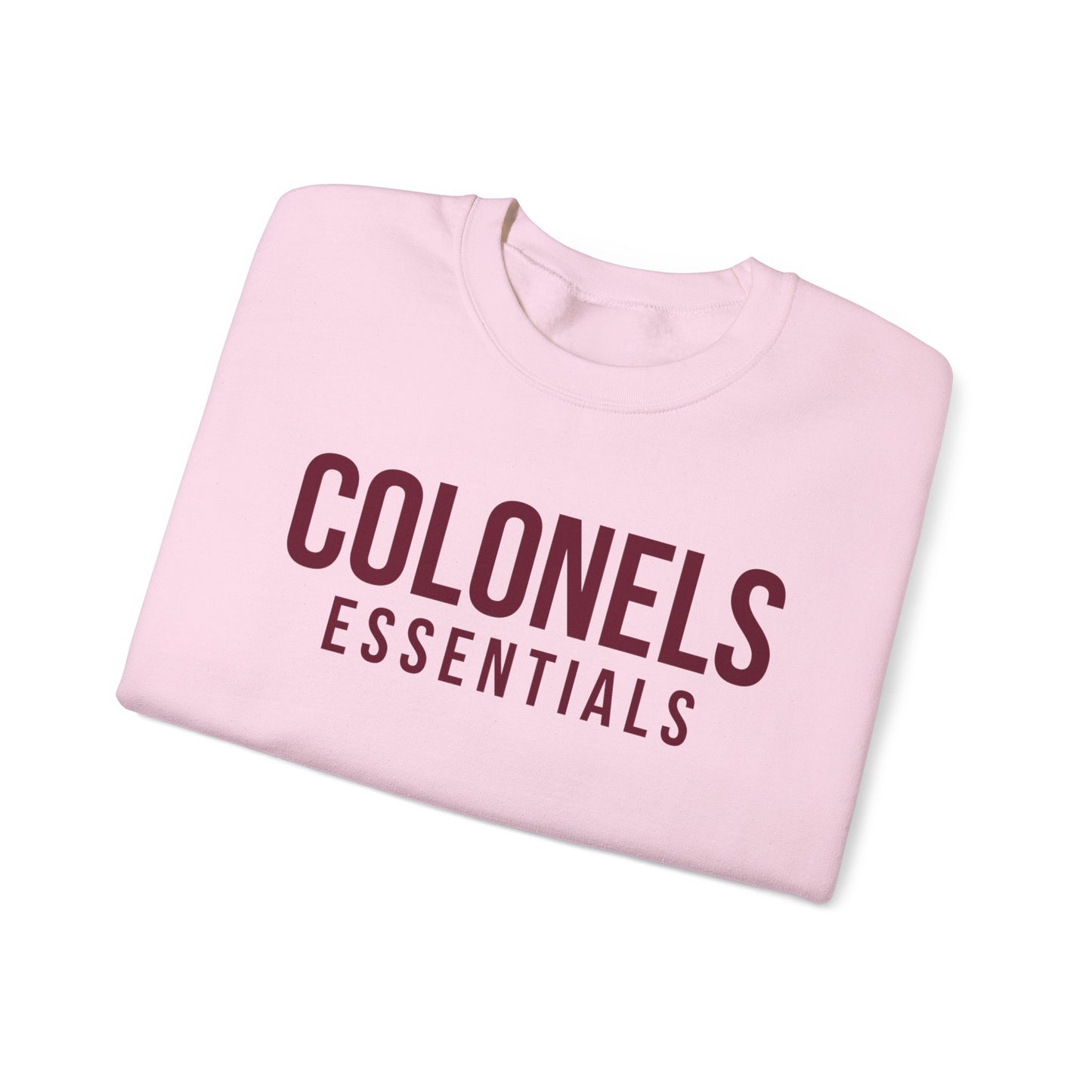 Class of 2029 Colonels Essentials Crewneck