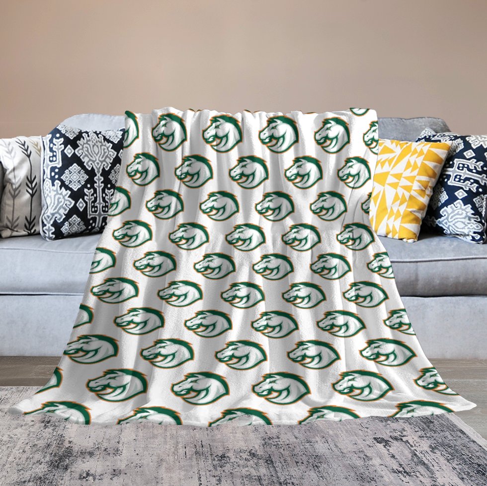 Frederick Douglass High School Flannel/Fleece Baby Blanket