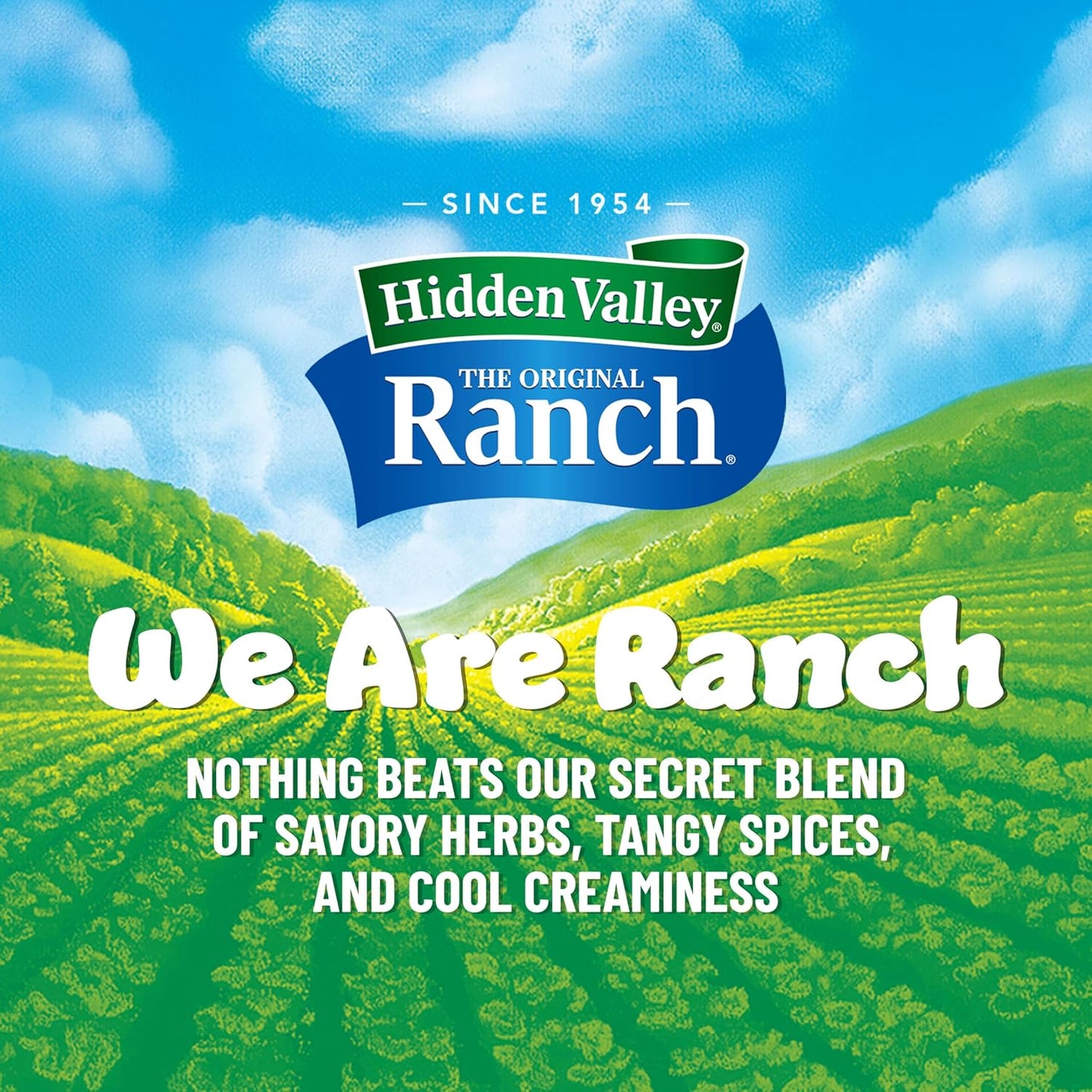 Hidden Valley Original Ranch Seasoning, Dressing and Dip Mix, 8 Ounces (Package May Vary)
