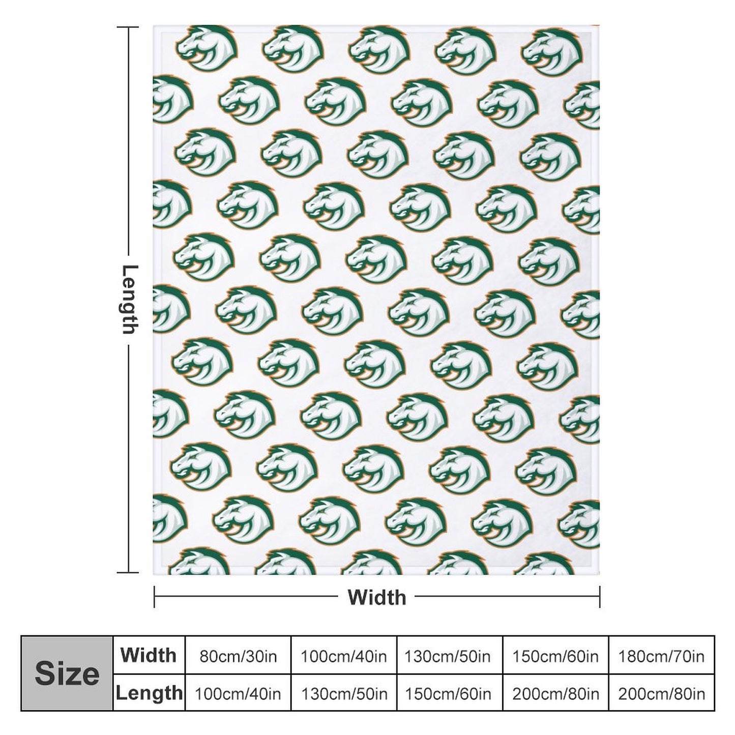 Frederick Douglass High School Flannel/Fleece Baby Blanket