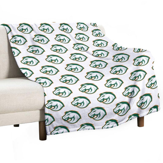 Frederick Douglass High School Flannel/Fleece Baby Blanket